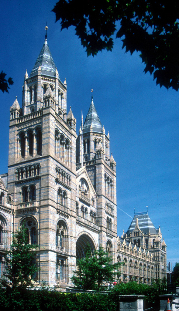 The Natural History Museum in London showcases Victorian Gothic architecture and scientific exhibits.